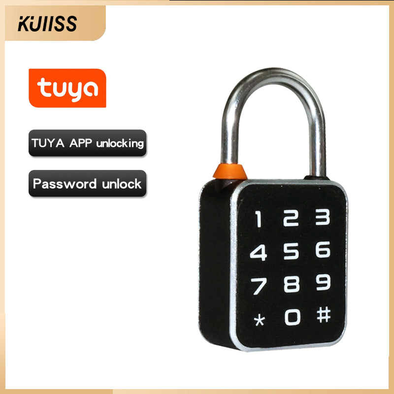 KUIISS Fingerprint Password Deadbolt Lock with Dual-Side Opening, Small Size, Outdoor Waterproof Graffiti Bluetooth Cabinet Anti-Theft Electronic Lock