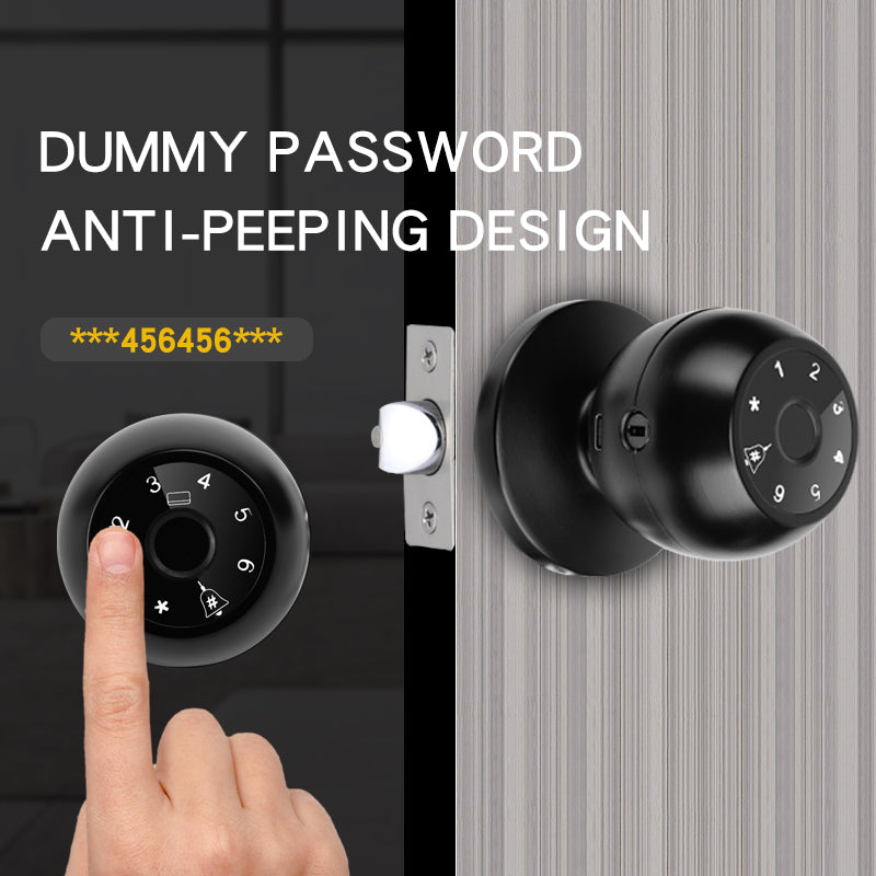 KUIISS Spherical Lock Tuya Fingerprint Lock Indoor Bedroom Office Password Room Wooden Door Smart Electronic Lock