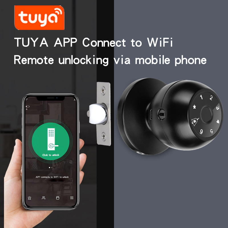 KUIISS Spherical Lock Tuya Fingerprint Lock Indoor Bedroom Office Password Room Wooden Door Smart Electronic Lock