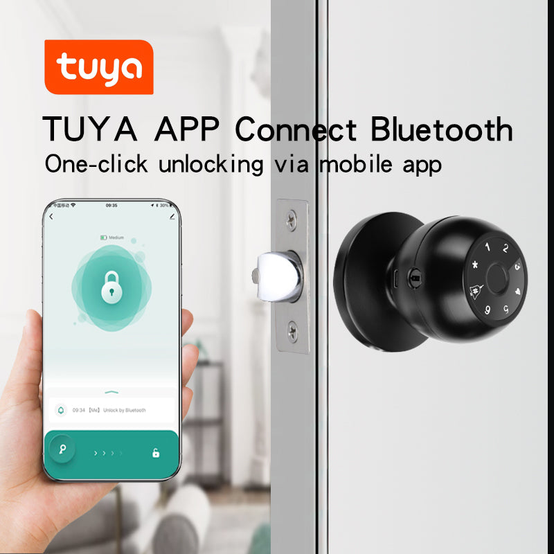 KUIISS Spherical Lock Tuya Fingerprint Lock Indoor Bedroom Office Password Room Wooden Door Smart Electronic Lock