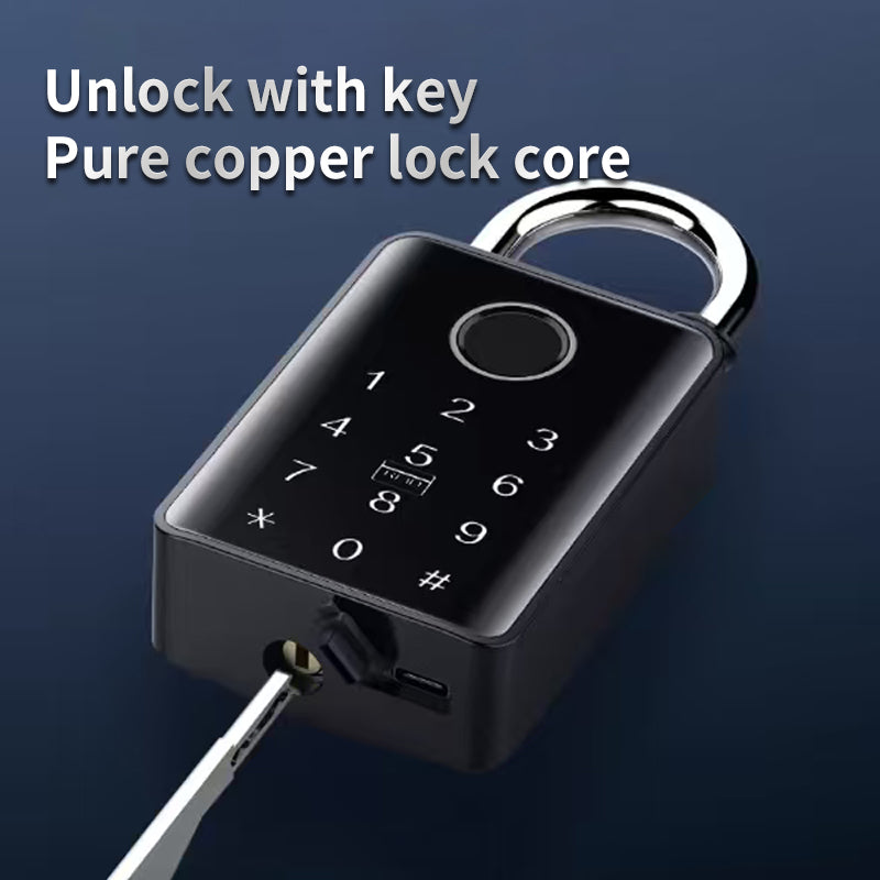 KUIISS Outdoor Waterproof Sunscreen Tuya Graffiti Bluetooth Smart Fingerprint Password Key Padlock Card Swipe NFC Electronic Door Lock