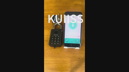 KUIISS Outdoor Waterproof Sunscreen Tuya Graffiti Bluetooth Smart Fingerprint Password Key Padlock Card Swipe NFC Electronic Door Lock