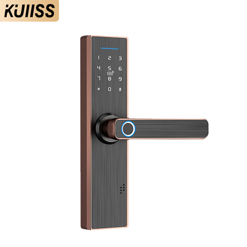 KUIISS Indoor Door Fingerprint Lock Access Lock TTlock Graffiti Tuya Wifi Home Office Apartment Home Accommodation Hotel Wood Door Split Smart Lock