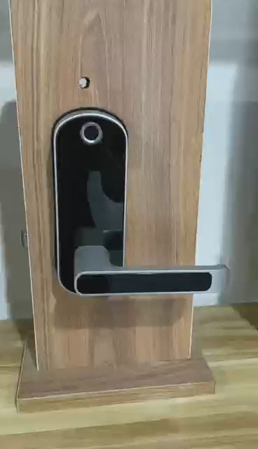 KUIISS Tuya wifi TTlock Indoor Door Fingerprint Password Lock Home Office Apartment Home Accommodation Hotel Wood Door Single Tongue Smart Lock Mobile App Remote